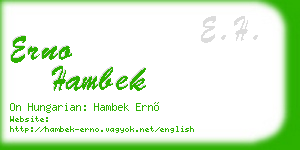 erno hambek business card